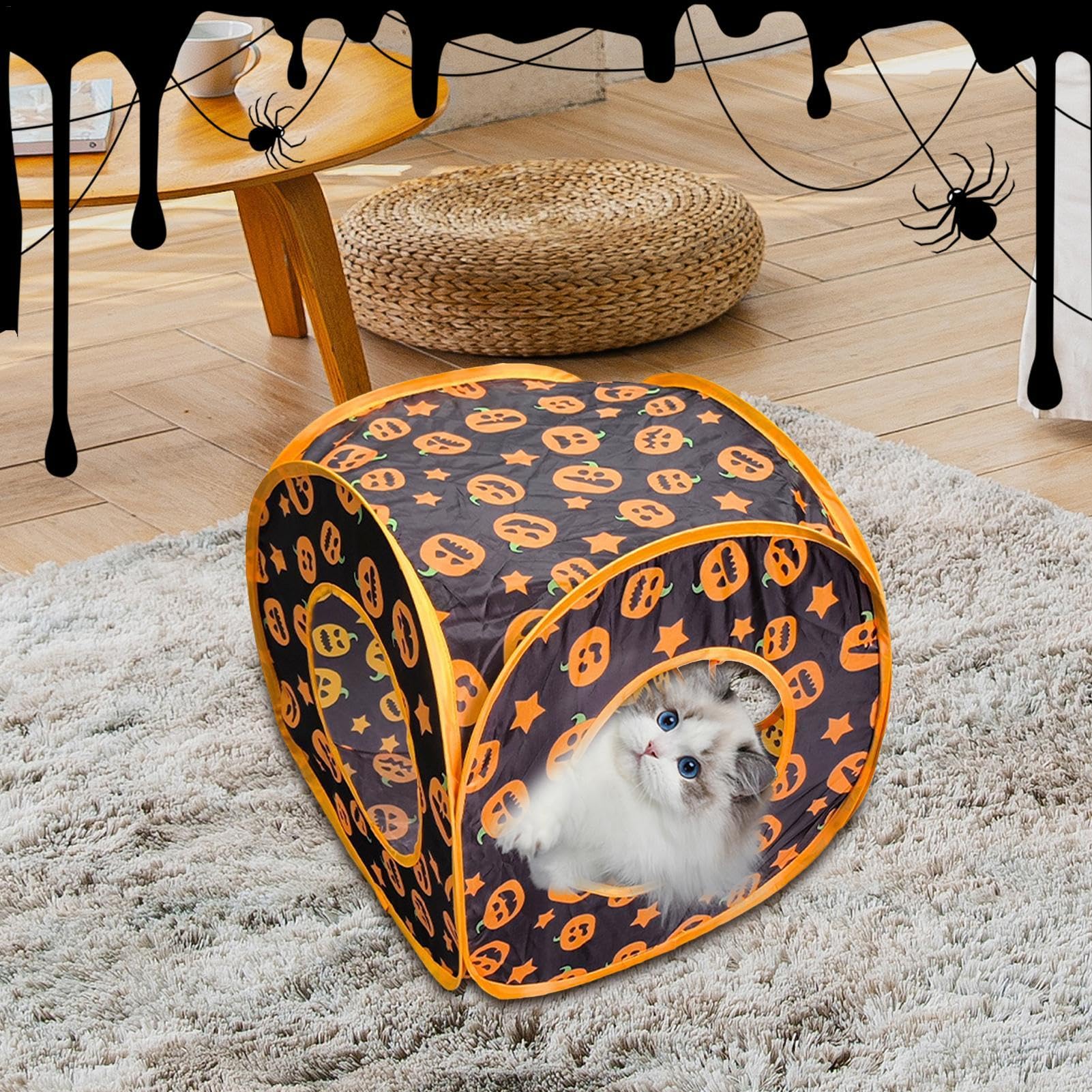 Amazon.co.jp: 猫のトンネル、子猫のトンネル | 折りたたみのぞき穴 Amazon.co.jp: 猫のトンネル、子猫のトンネル | 折りたたみのぞき穴