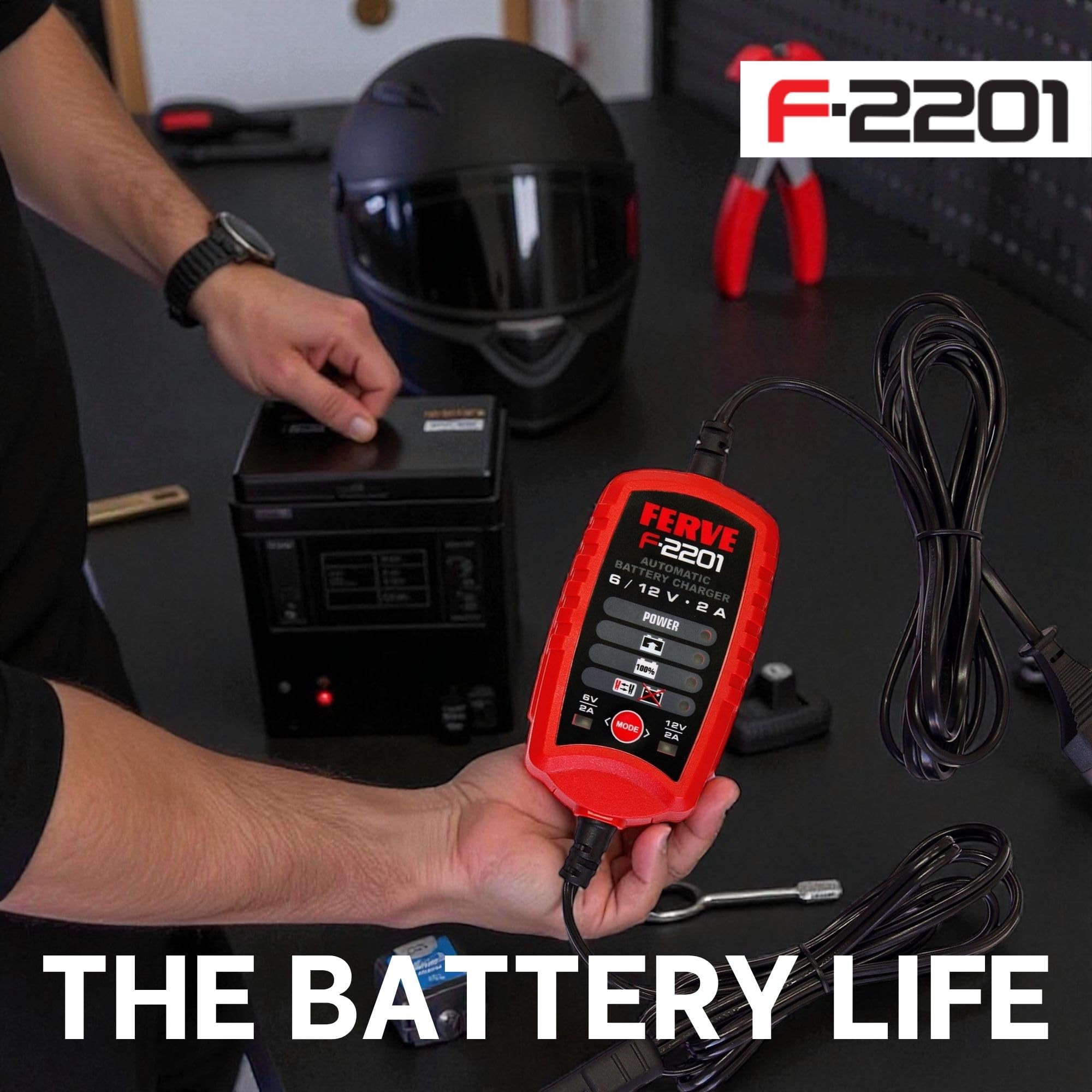 Ferve F-2201 Cargador de Baterías de Plomo Ácido
