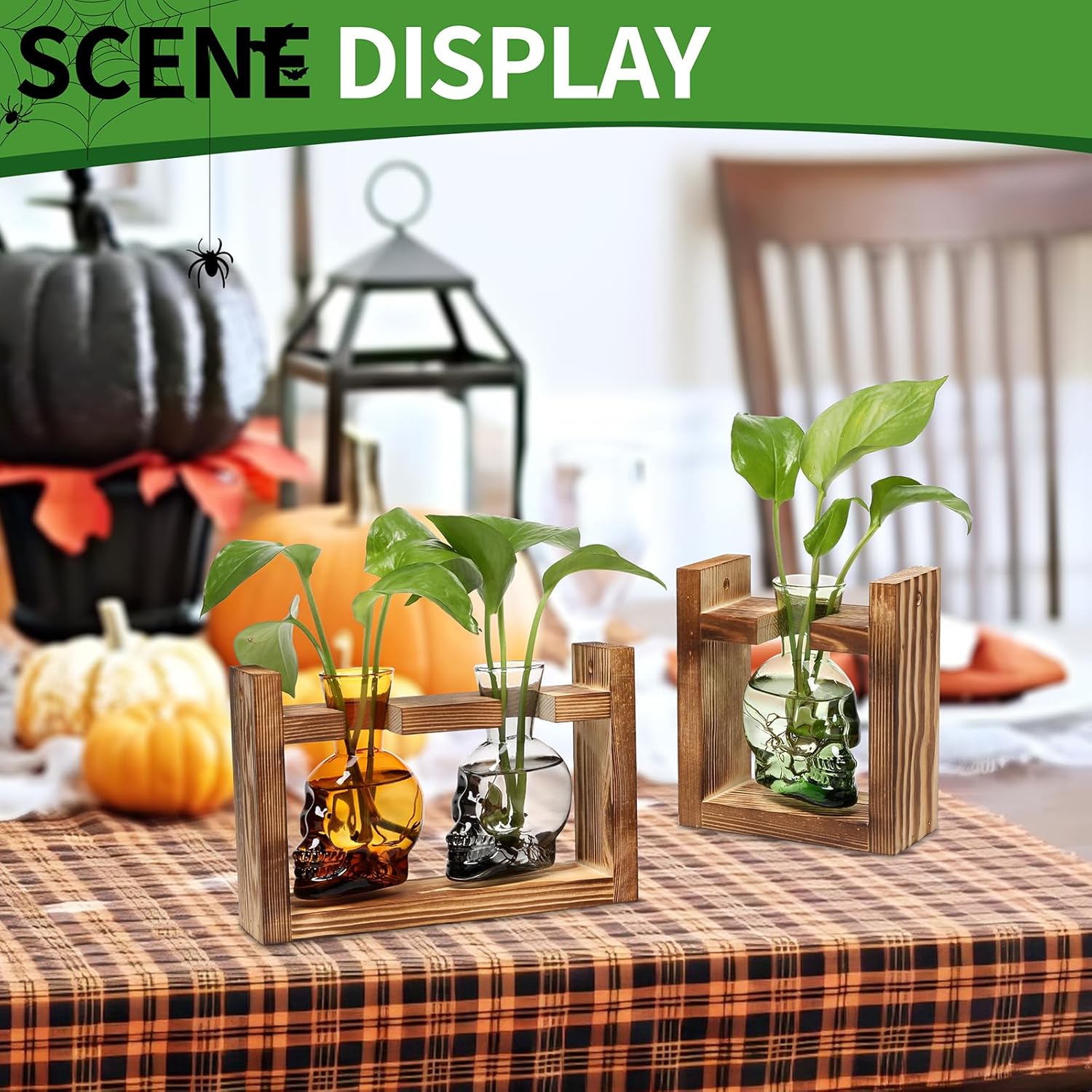 2+1 Plant Terrarium Plant Propagation Station Gifts for Father Halloween Skull Home Office Decor with Wooden Stand