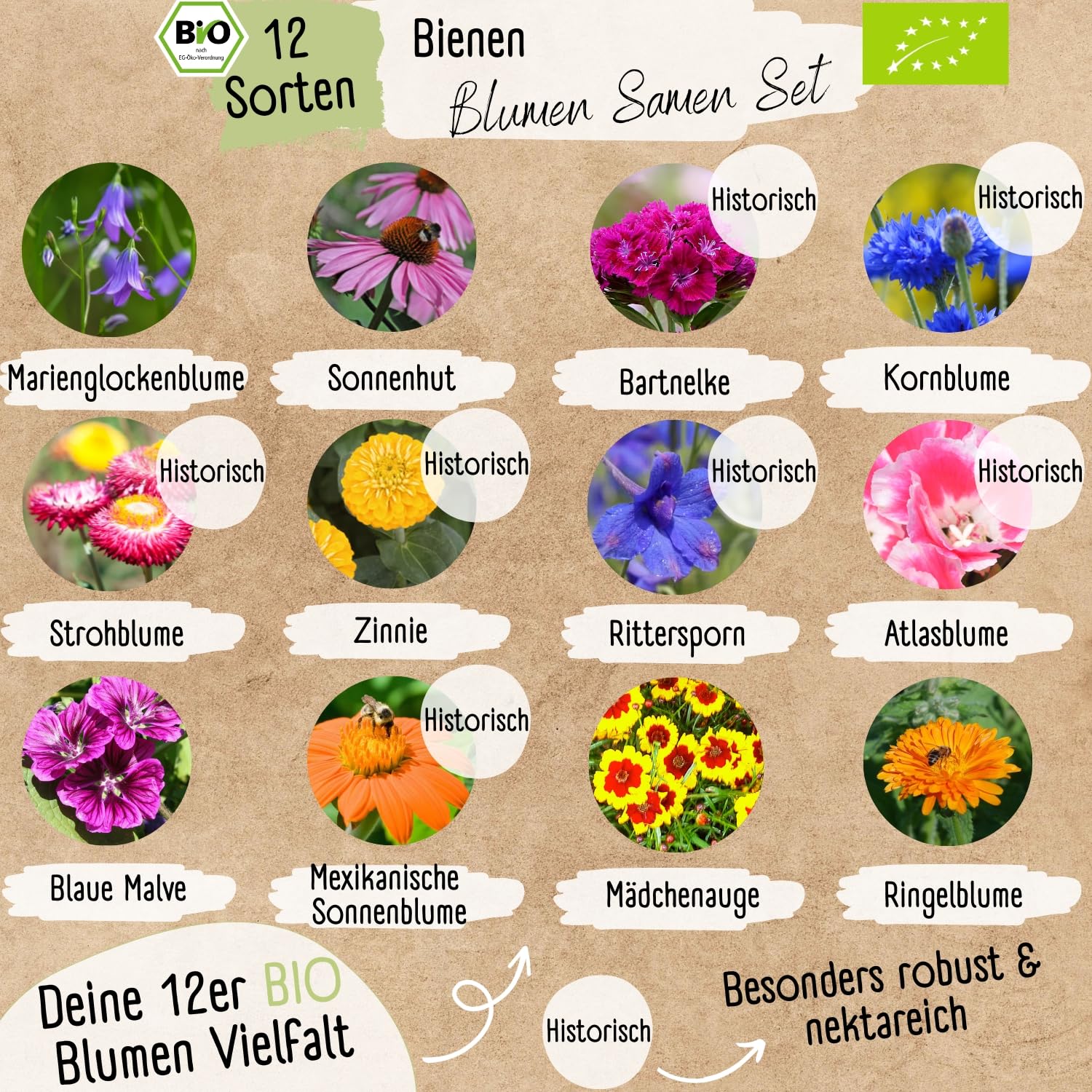 Bio Bienen Blumen Samen Set – 12 Sorten samenfeste Bio Blumensamen – mit extra viel Blumen Saatgut für deine Bienen. Schönes Pflanzensamen Set mit Wildblumensamen als Gastgeschenk.