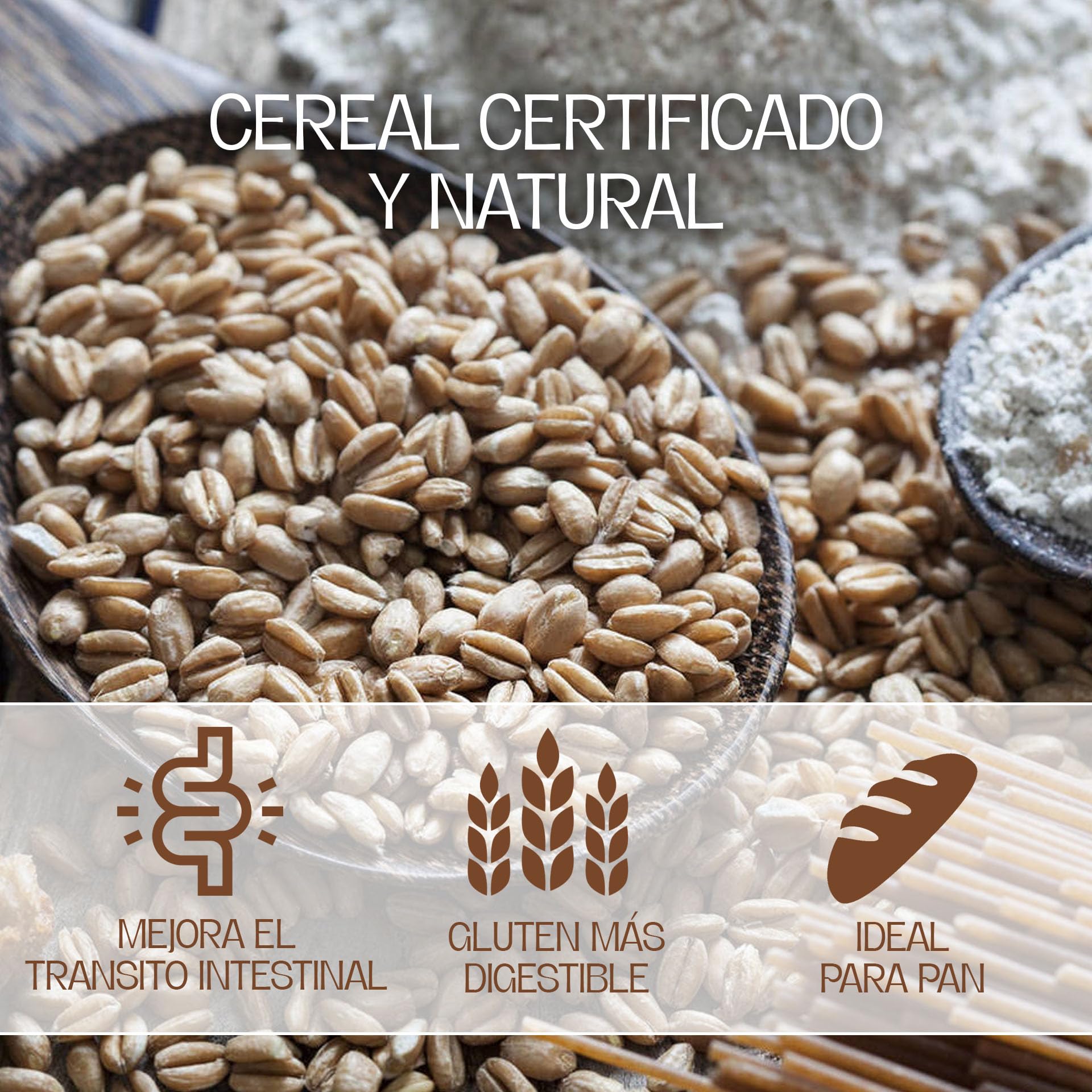 Harina De Espelta Ecológica Blanca | Perfecta Para Elaborar Pan De Espelta | Molida En Molino De Piedra | Ideal Para Harina Blanca Artesanal De 25 Kg | De Excelente sabor Y Aroma Marcados