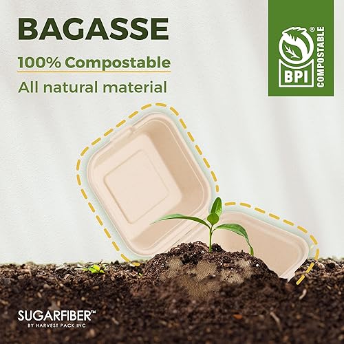 Miniatura 5 de Harvest Pack GOURMET SHOWCASE 200 unidades Contenedor cuadrado compostable con bisagras de fibra de azúcar de 9 x 9, caja para llevar con un solo