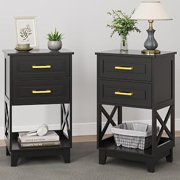 RoyalCraft 30" Tall Nightstand, Modern Painted Bedside Table with 2 Drawers and Open Shelf, Wood Side Table for Bedroom, Home Office, Black-Open Shelf Below, Set of 2
