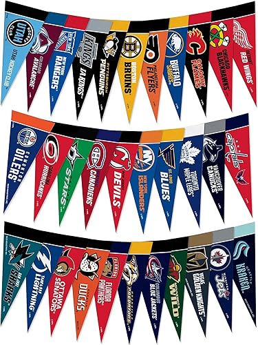 Rico Industries NHL Hockey - Juego de mini banderines de fieltro de 4 x 9 pulgadas (incluye todos los equipos)