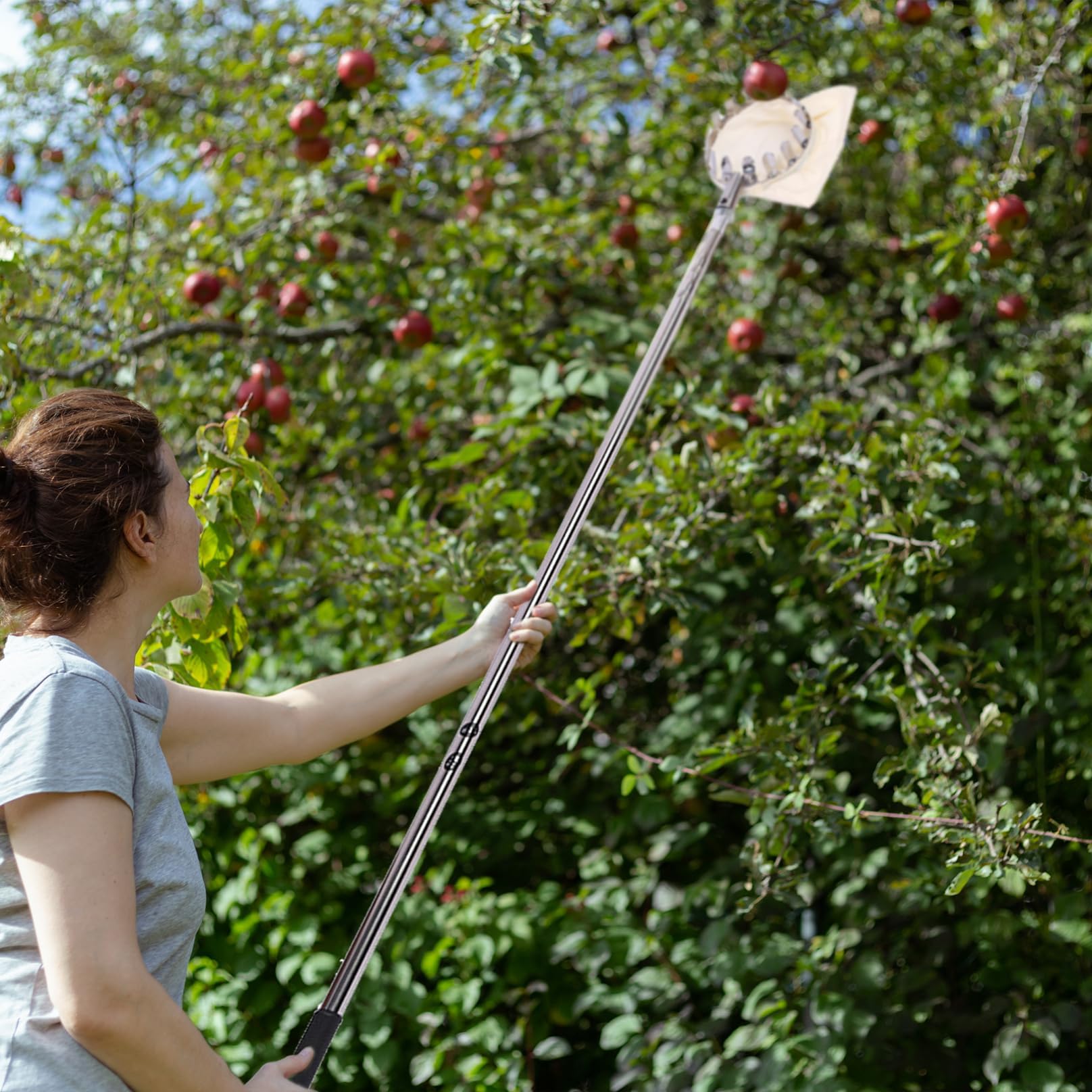 Teleskop-Obstpflücker mit Aufbewahrungstasche für einfache Ernte