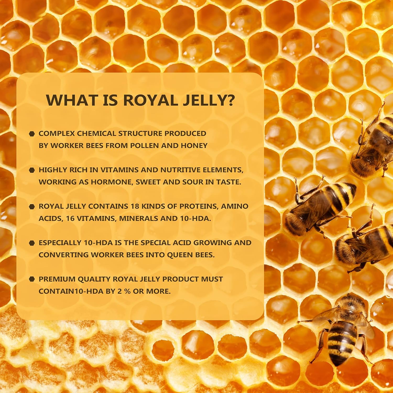 ORONIA Canada Royal Jelly Premium – Honey Bee Supplement 100% Pure 1000 mg 180 Softgels Anti Aging Skin Health Immune Support Non GMO Gluten Free : Health & Household