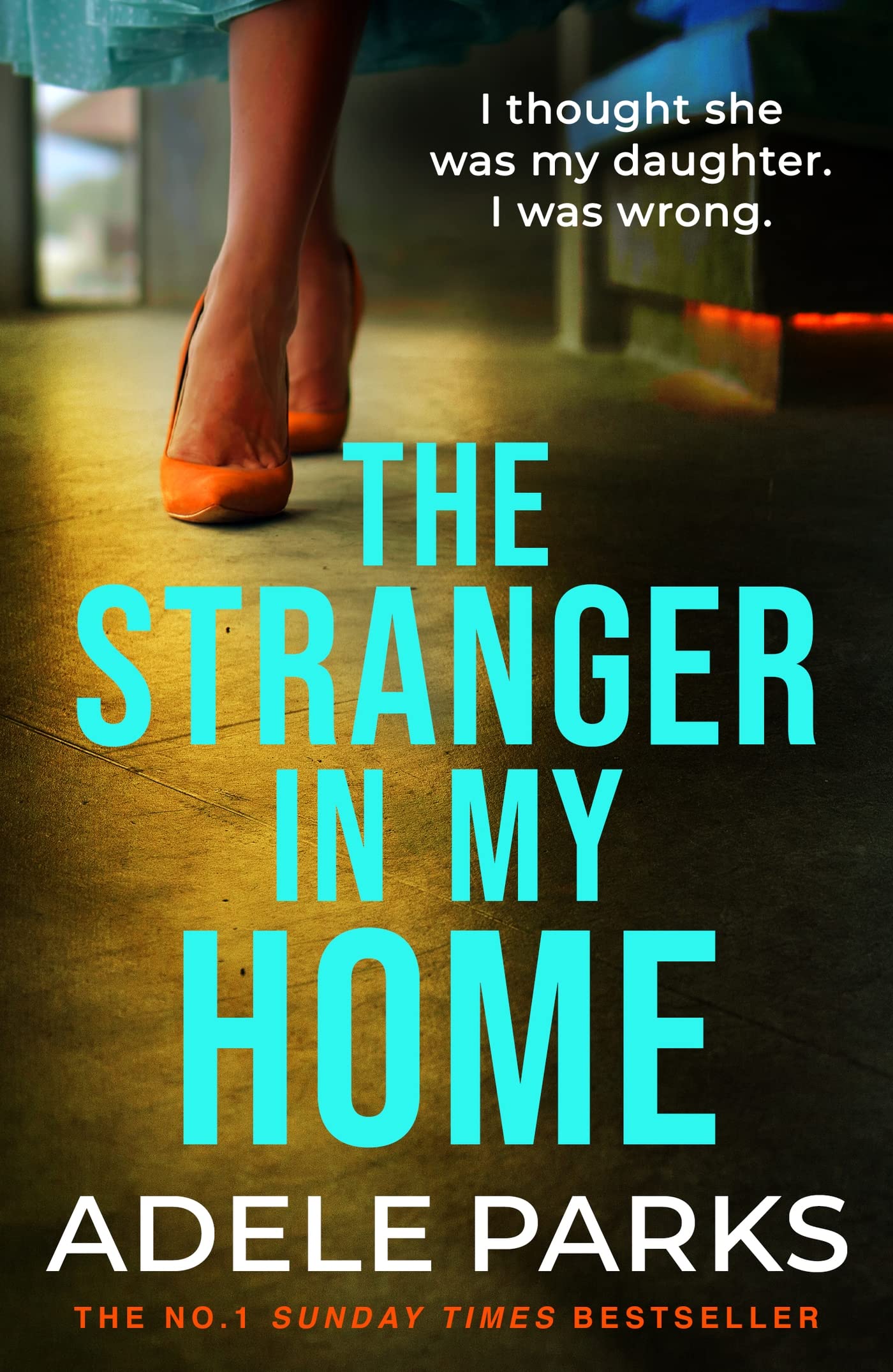 The Stranger In My Home Adele Parks Paperback Domestic Noir Thriller Crime
