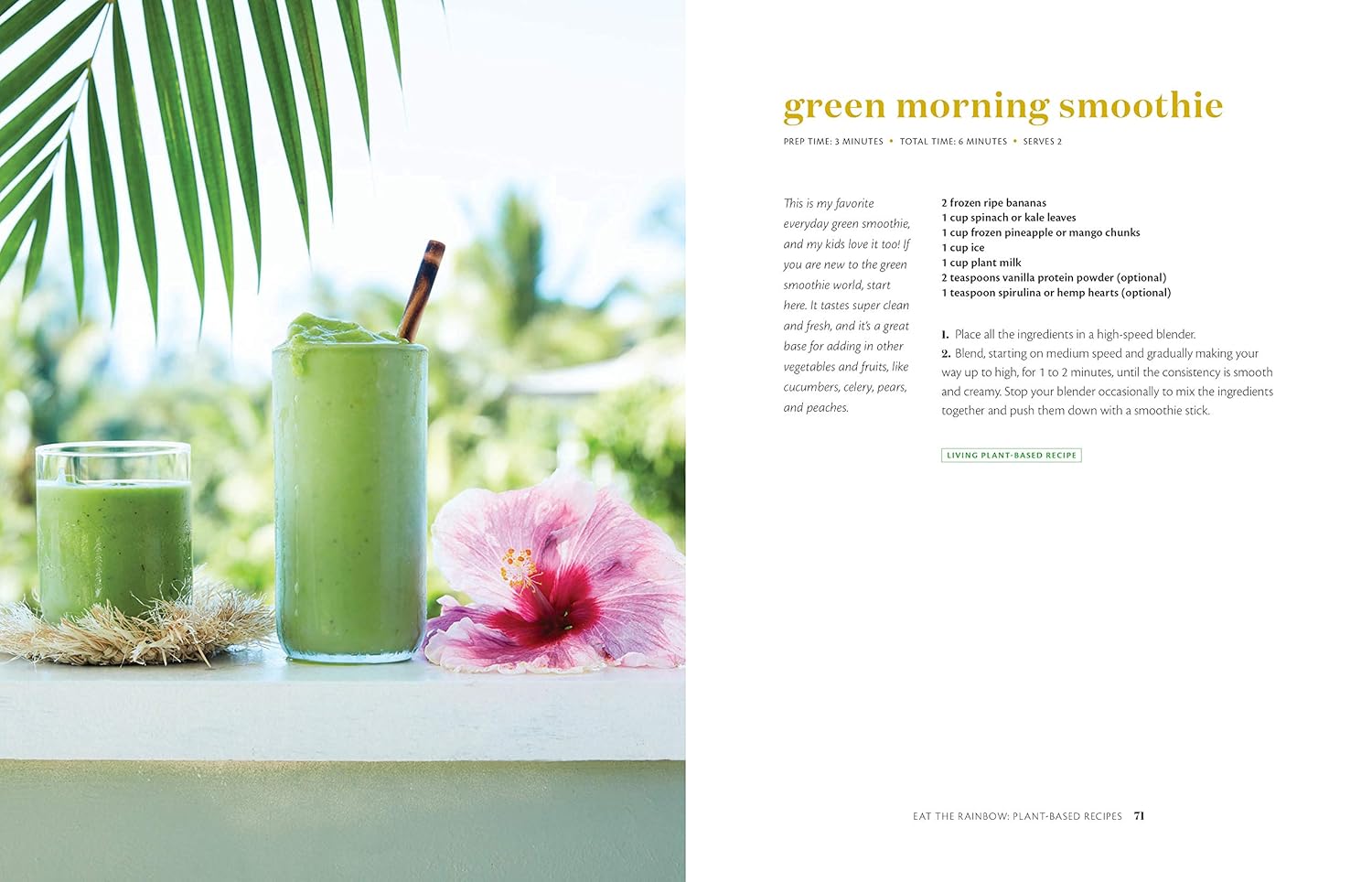 Plant Over Processed: 75 Simple & Delicious Plant-Based Recipes for Nourishing Your Body and Eating From the Earth - Image 2