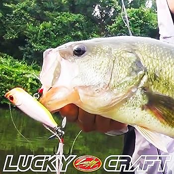 ラッキークラフトルアーセット Amazon.co.jp: ラッキークラフト(LUCKY CRAFT) トネスプラッシュ