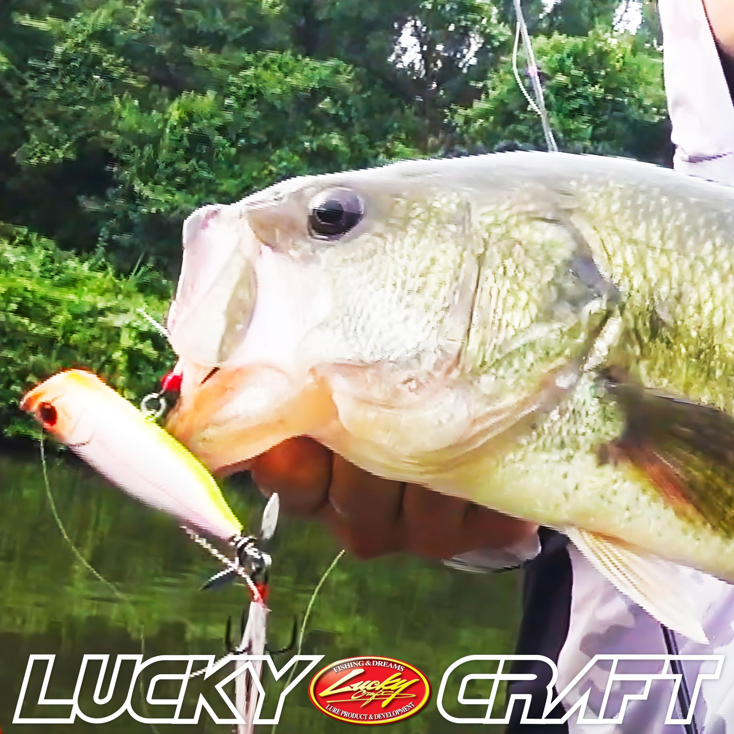 Amazon | ラッキークラフト(LUCKY CRAFT) トネスプラッシュ70改 - 定番