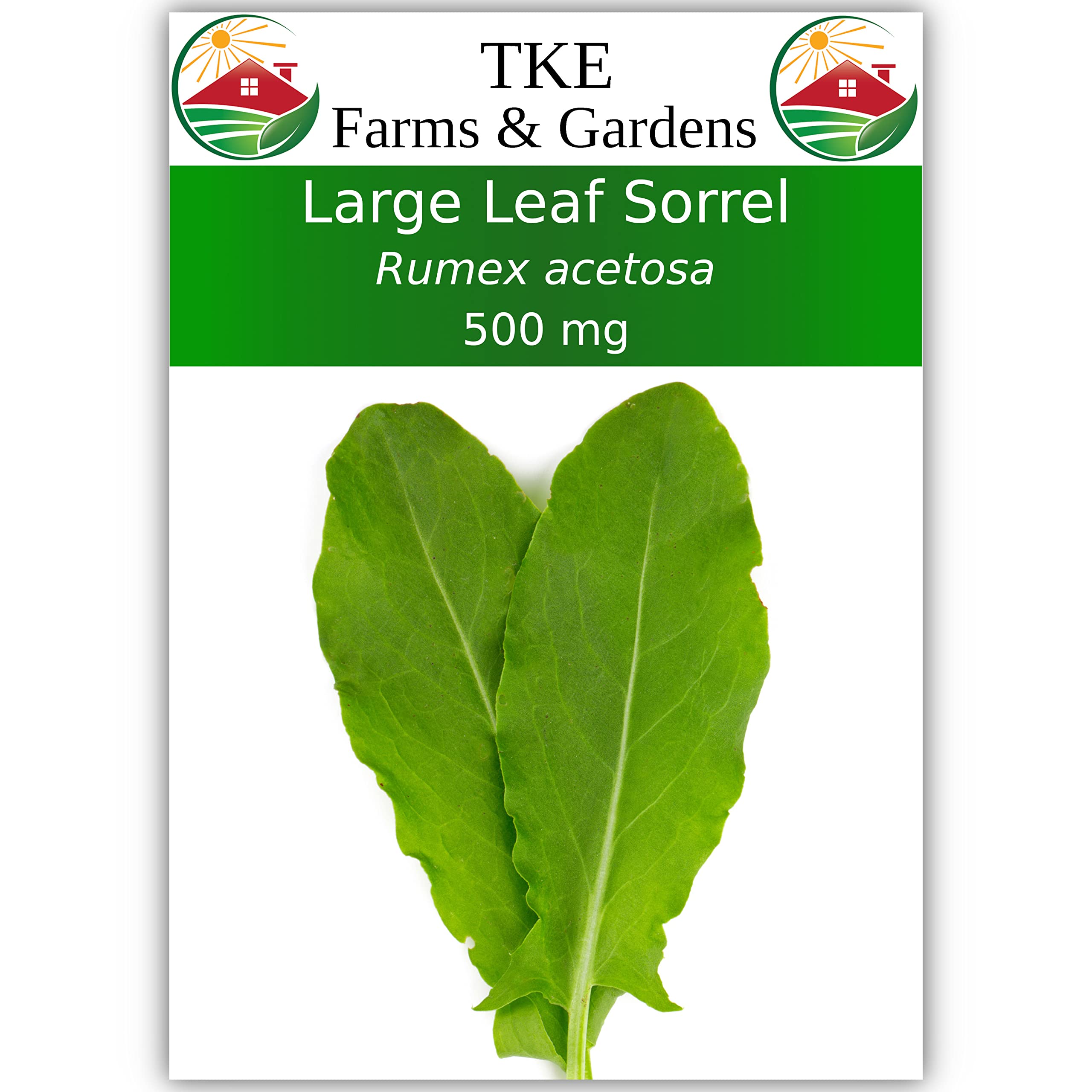 TKE Farms & Gardens - Large Leaf Sorrel Seeds for Planting, 500 Mg, 500 Heirloom Seeds, Non-GMO, Packet Includes Instructions for Growing, Rumex acetosa, Qty 1