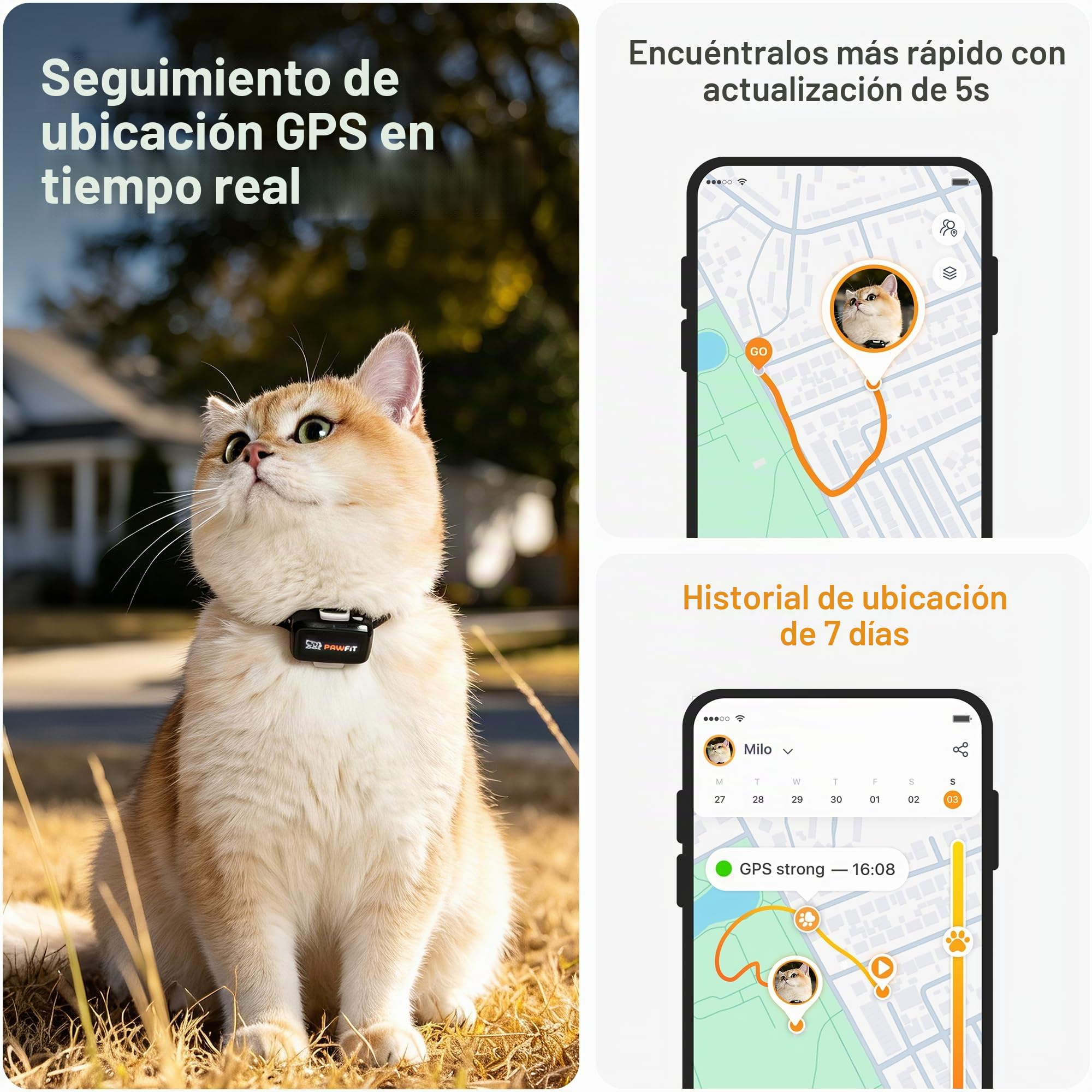 Pawfit Lite - Rastreador GPS 4g para gatos | Diseño ultra pequeño (<18g) | Seguimiento en tiempo real | Monitoreo de actividad | Historial de ubicaciones | Alcance ilimitado | Collar de seguridad
