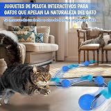 Ver la foto 2