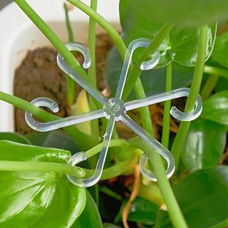 8/16/32PCS Plant Stem Support,4 Sizes Set,Plastic Stems Holder for Indoor Plants, Reusable Stem stabilizer,Keeps Potted Houseplants Growing Straight (8, Clear)