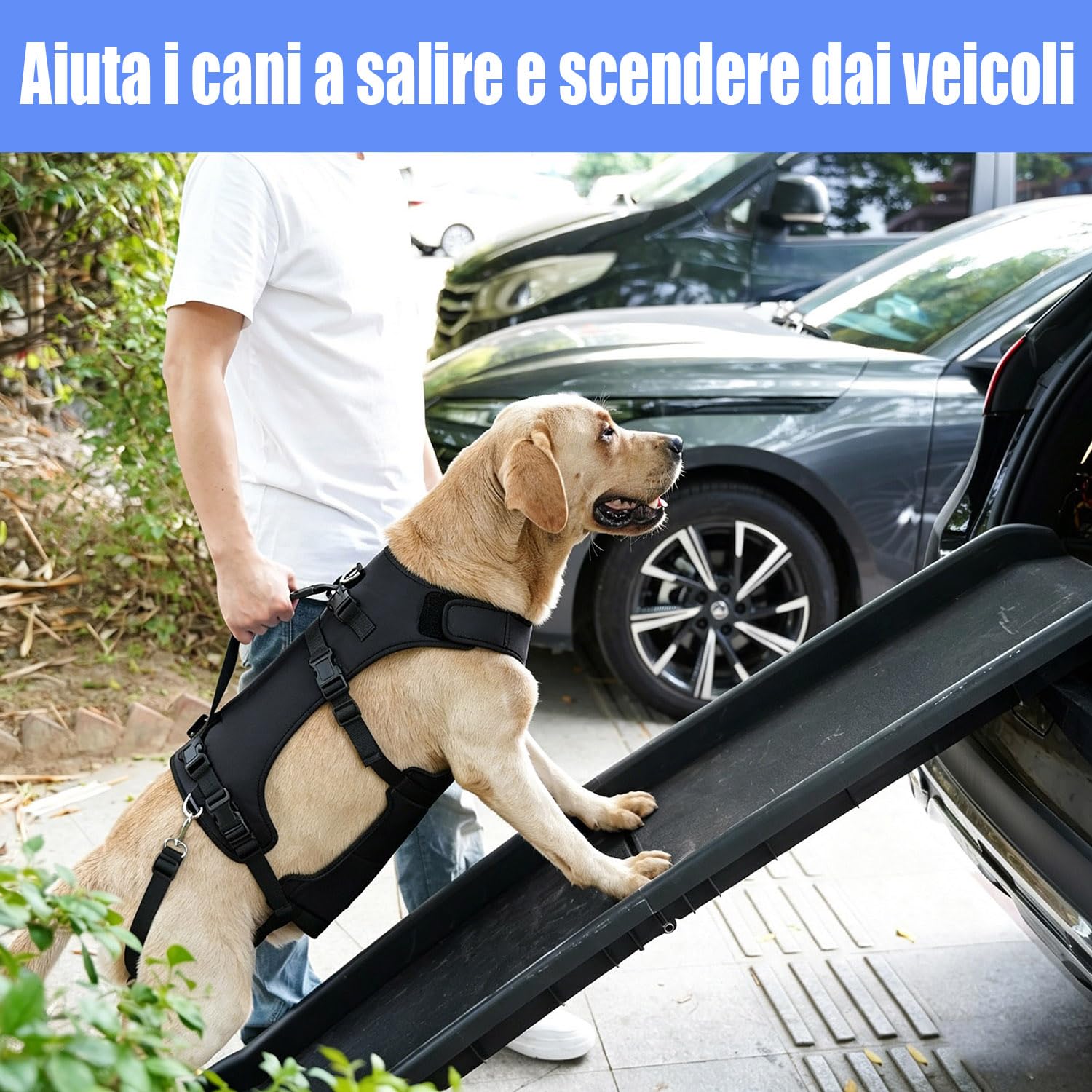 COODEO Imbracatura per Cane, Gilet di Supporto Completo e Recupero, Regolabile e Traspirante, per Cani Anziani, Disabili, con Lesioni Articolari, Artrite e Paralisi. (Nero, L)