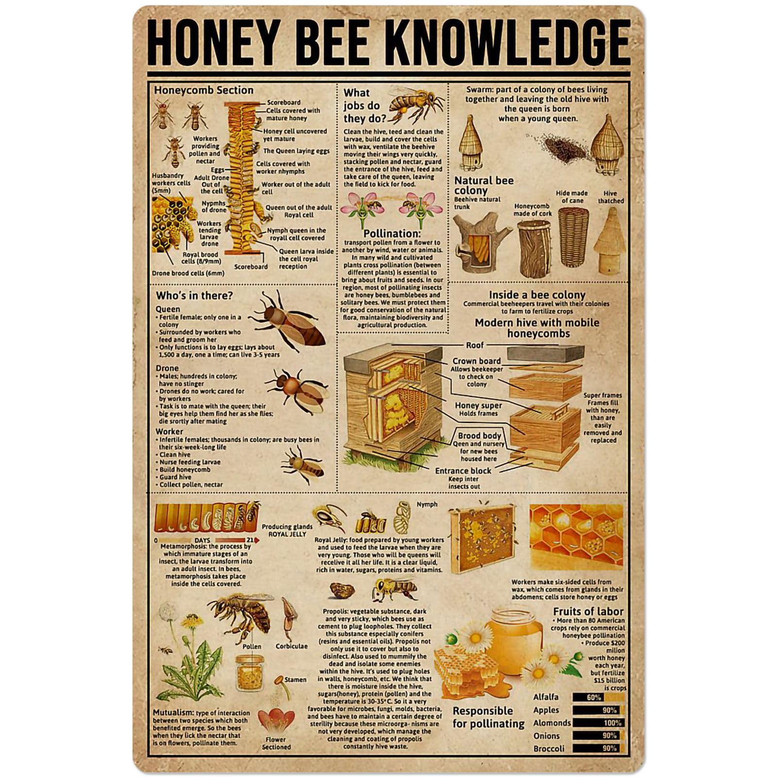 peiyeety Honey Bee Knowledge Metal Tin Signs Honey Bee Information Retro Poster Popular Science Educational Charts Wall Plaques Decor For Home Classroom Room Office 12x18 Inch