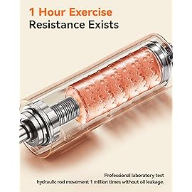 Niceday Twist Stepper for Exercise at Home, Mini Stair Stepper with Resistance Bands at Home Workout Equipment with 300LBS Loading Capacity, Hydraulic Fitness Stepper with LCD Monitor Gray with Mat