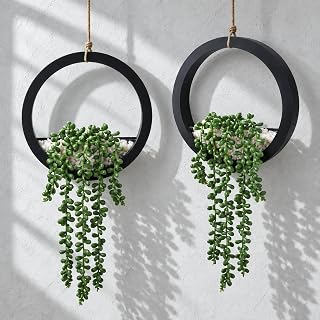 Der Rose 2 Pack Hanging Artificial String of Pearls for Wall Decor