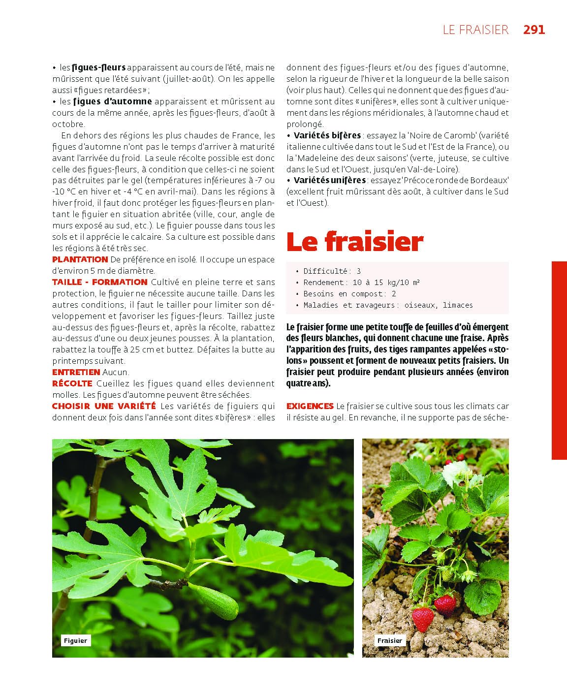 Le guide de l'autonomie au jardin: Savoir tout faire au potager, poulailler, rucher...