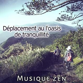 Amazoncom Deplacement - 