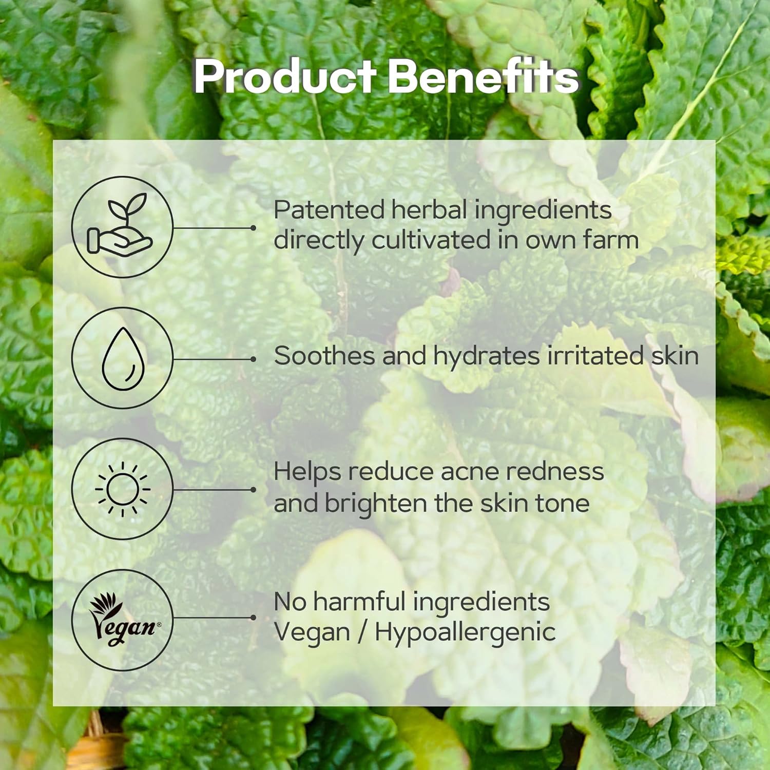 Green Salvia Treatment Toner - Image 3