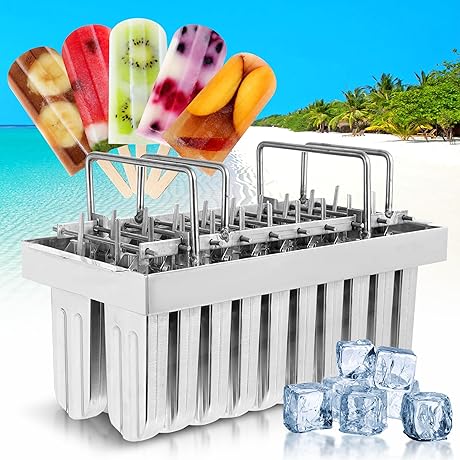 WICHEMI Stainless Steel 20PCS Popsicle Molds Ice Cream Maker