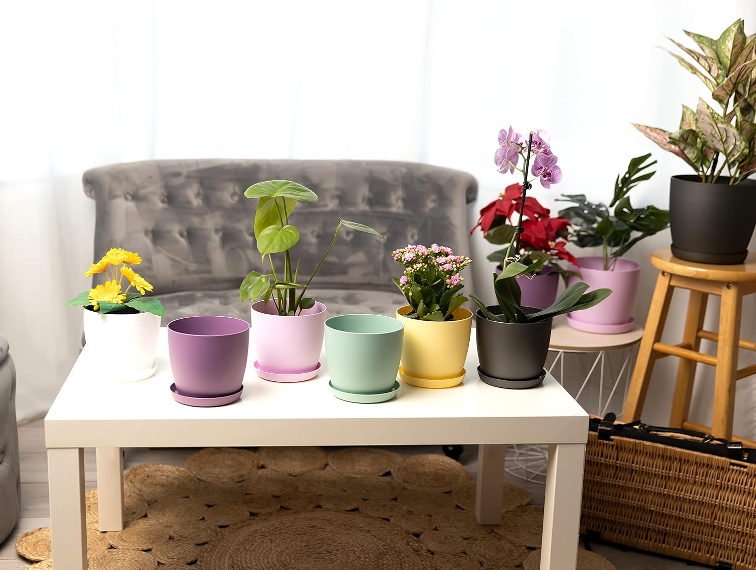 Home Garden Ornaments Plant Pots Indoor, Indoor Plant Pot - Image 5