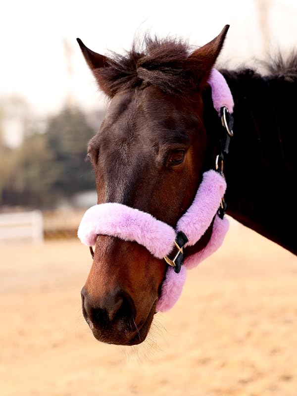 Protetor de Cabresto para Cavalos em Fleece Harrison Howard, Light Purple, Conjunto com 9