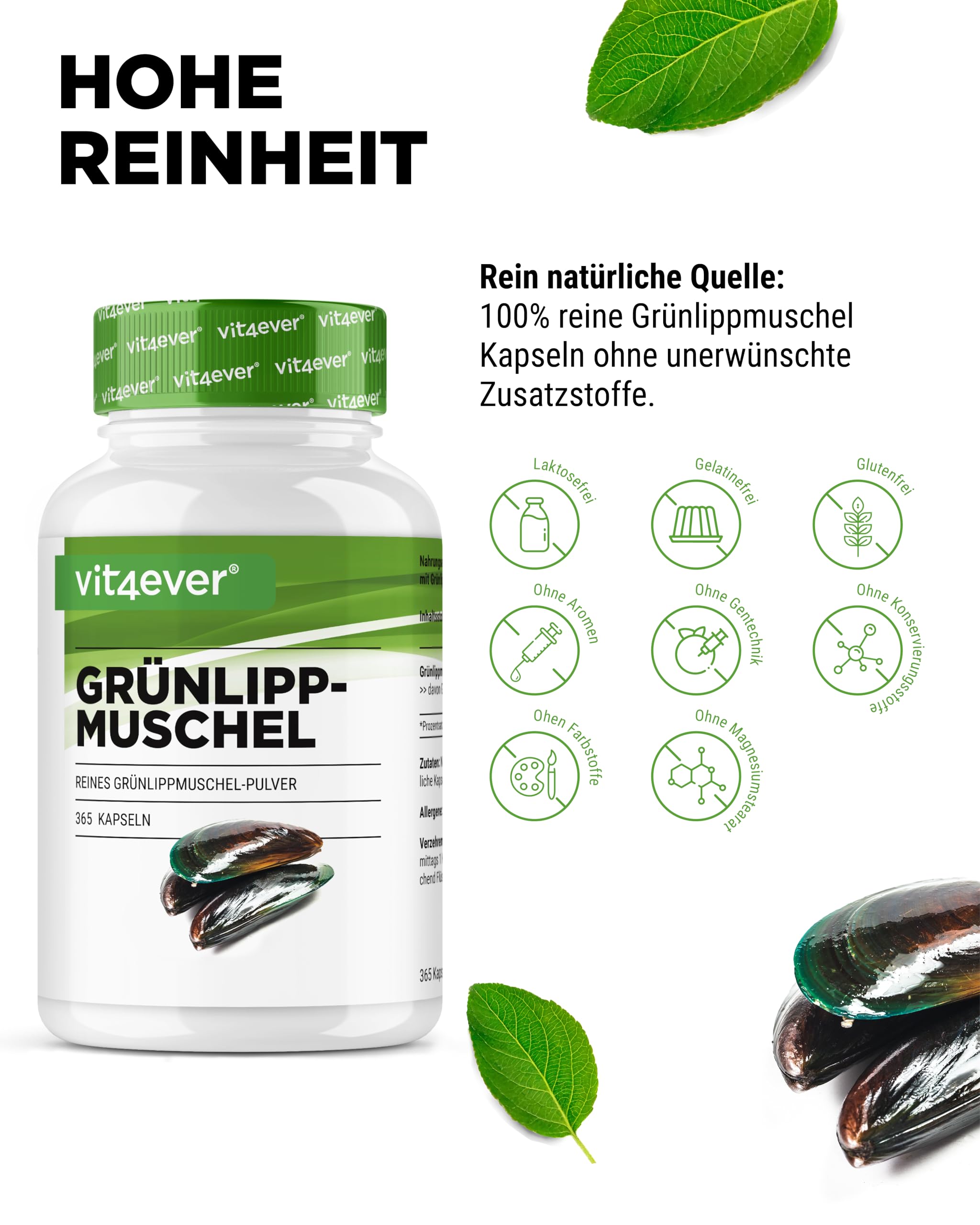 vit4ever Grünlippmuschel - 365 Kapseln - je 600 mg | Glycosaminoglykane, 100% Grünlippmuschelpulver aus Neuseeland, hochdosiert