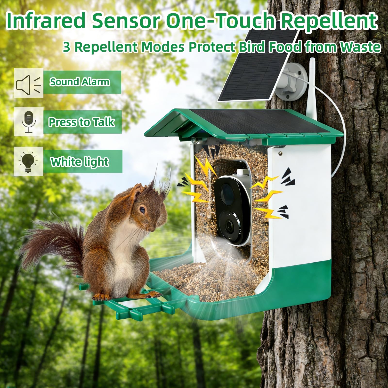 Bird Feeder with Camera, Squirrel Proof Bird Feeder Dual Solar Powered for Outdoors, AI Identify 11,000+ Birds, Real-Time Motion Detection,UHD Live Stream for Birdwatching-Gifts for Bird Lovers - 5
