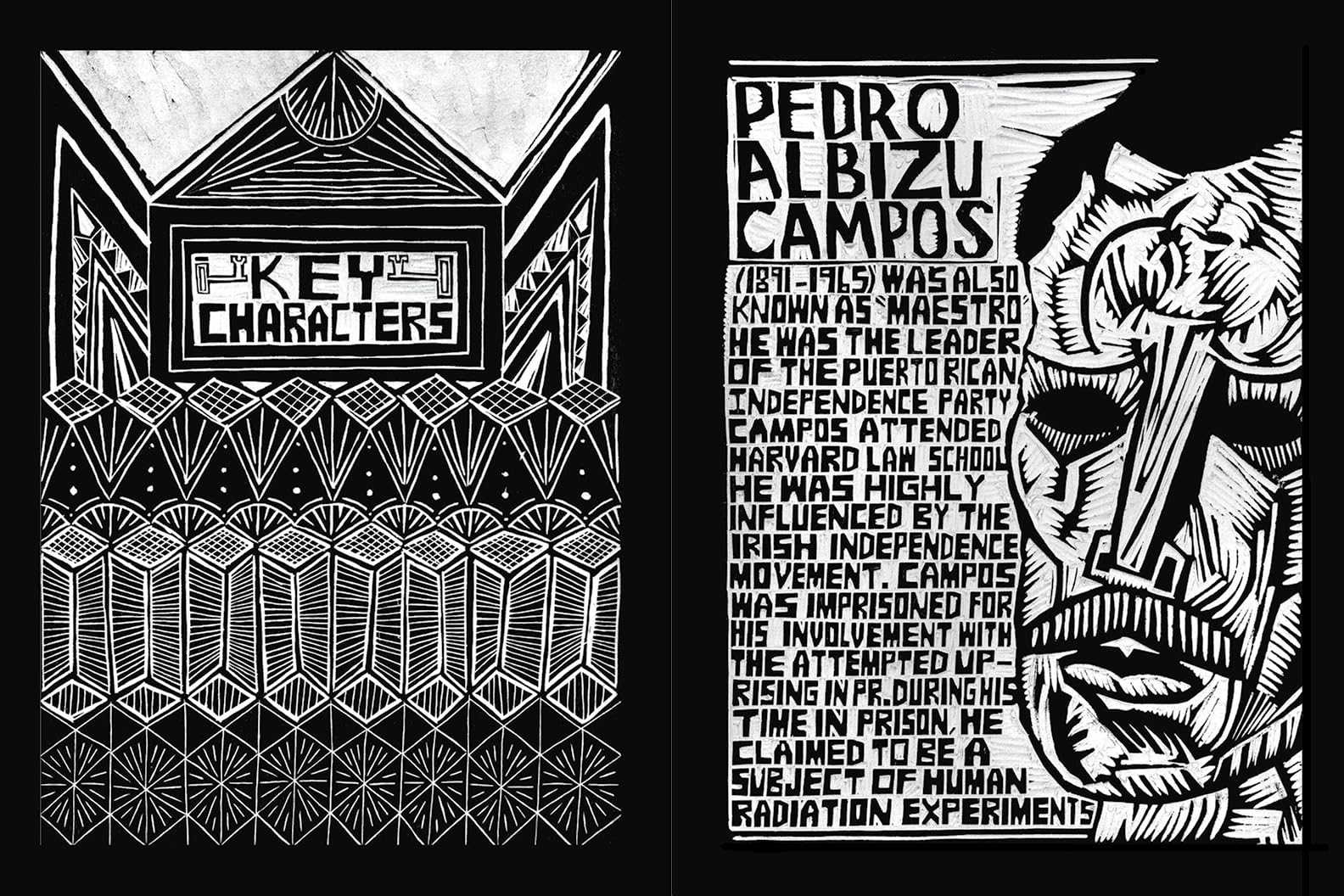 The Puerto Rican War: A Graphic History