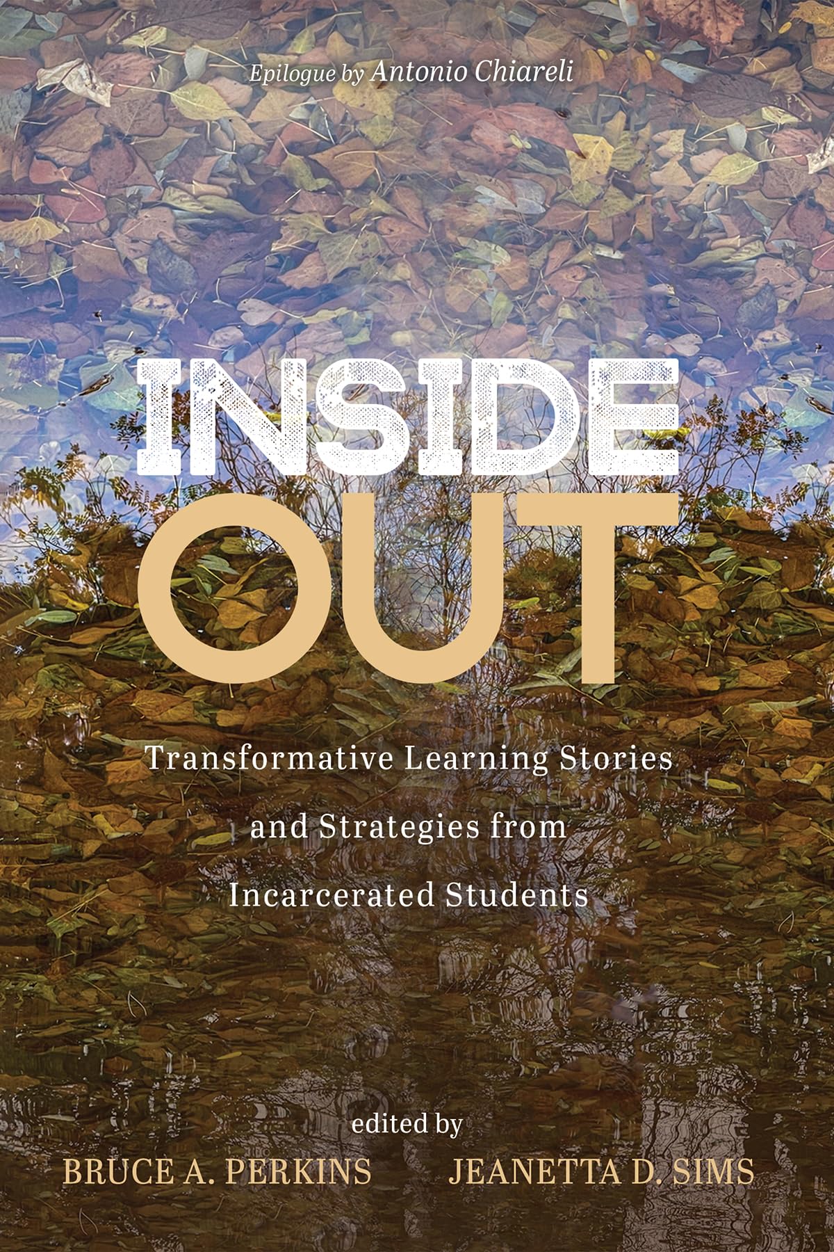 Inside Out: Transformative Learning Stories and Strategies from Incarcerated Students