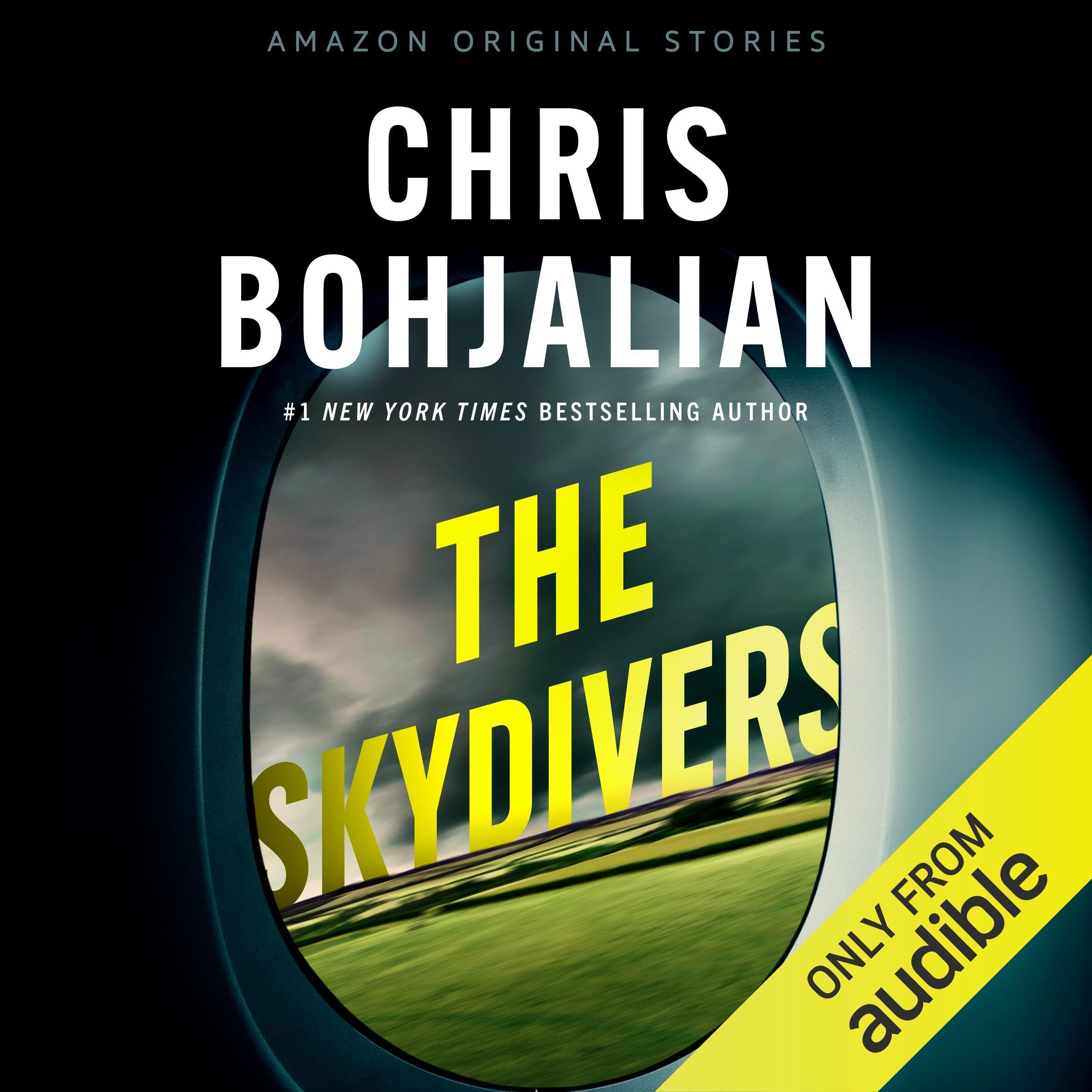 Cover art for The Skydivers