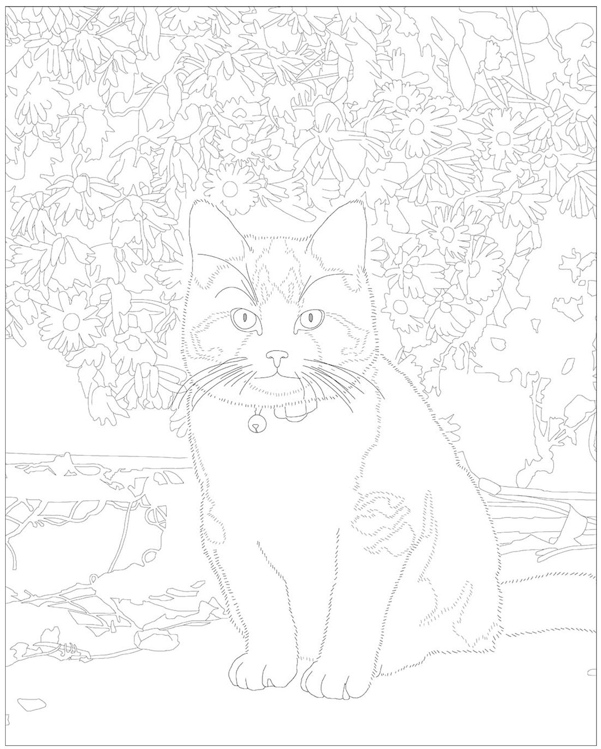 ぬり絵book 岩合さんのネコ 岩合 光昭 本 通販 Amazon