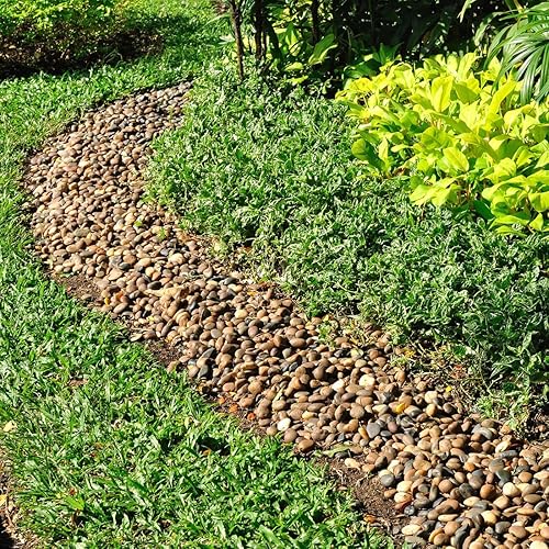 Miniatura 5 de Rocas de acuario de 5 libras, guijarros mezclados naturales de 58 pulgadas para plantas, rocas de río pulidas decorativas para peceras, paisajismo,