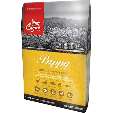 extra long extendable dog lead