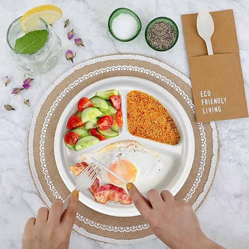 Miniatura 7 de 150 piezas 100% compostables platos de papel de 10 pulgadas, platos de fibra de caña de azúcar resistentes desechables ecológicos biodegradables de