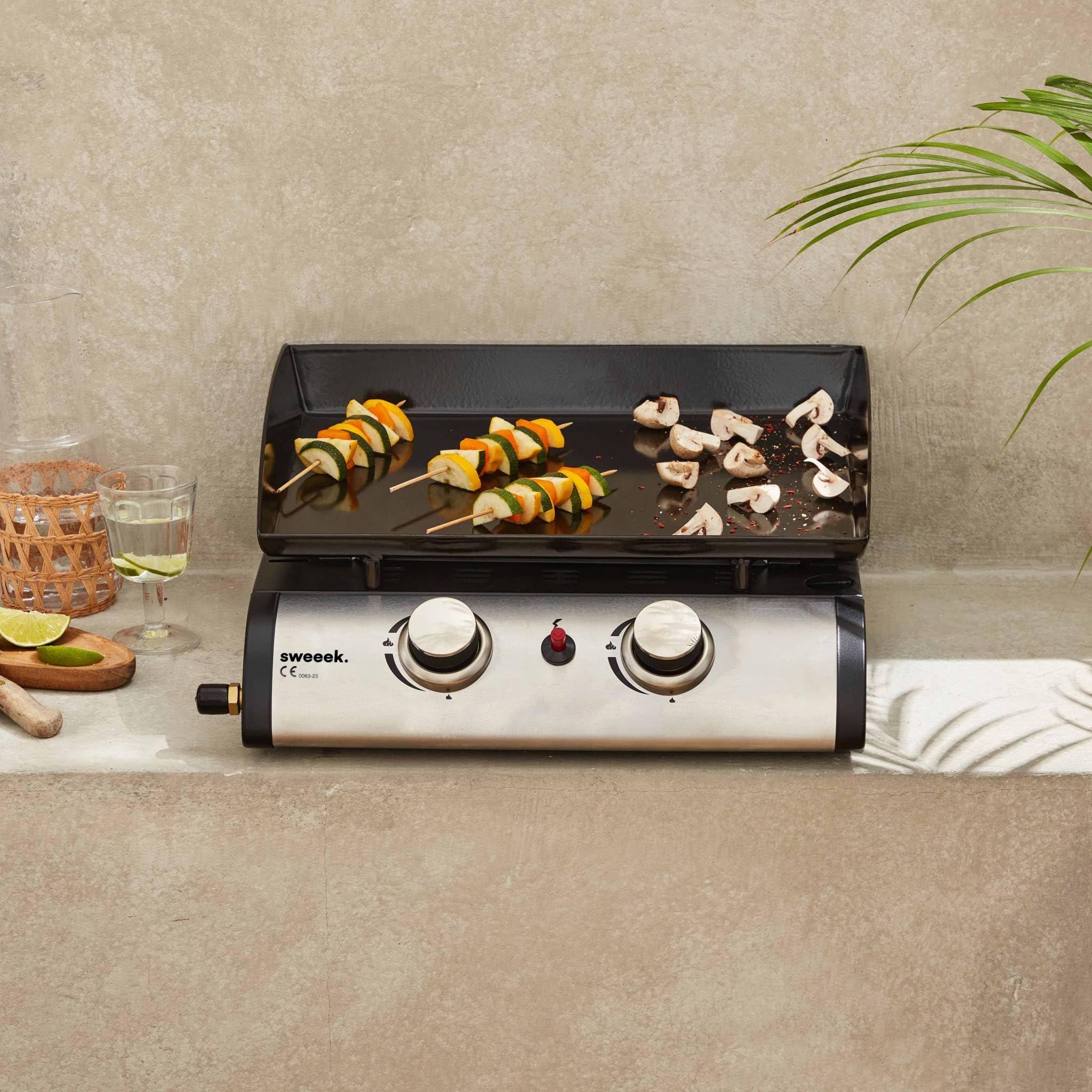 Alice's Garden Plancha au gaz 2 brûleurs Porthos 5 KW INOX Barbecue