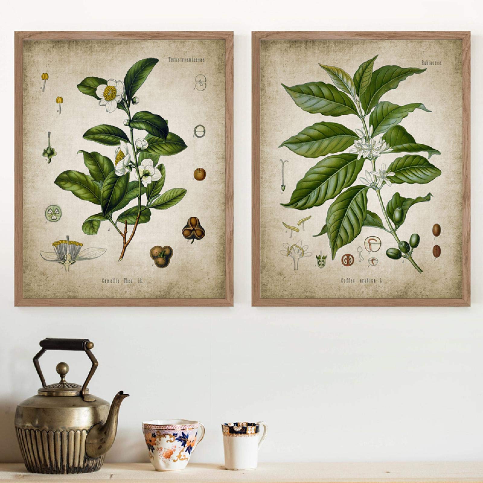 Affiches cuisine botanique thé café pour habiller un grand mur vide