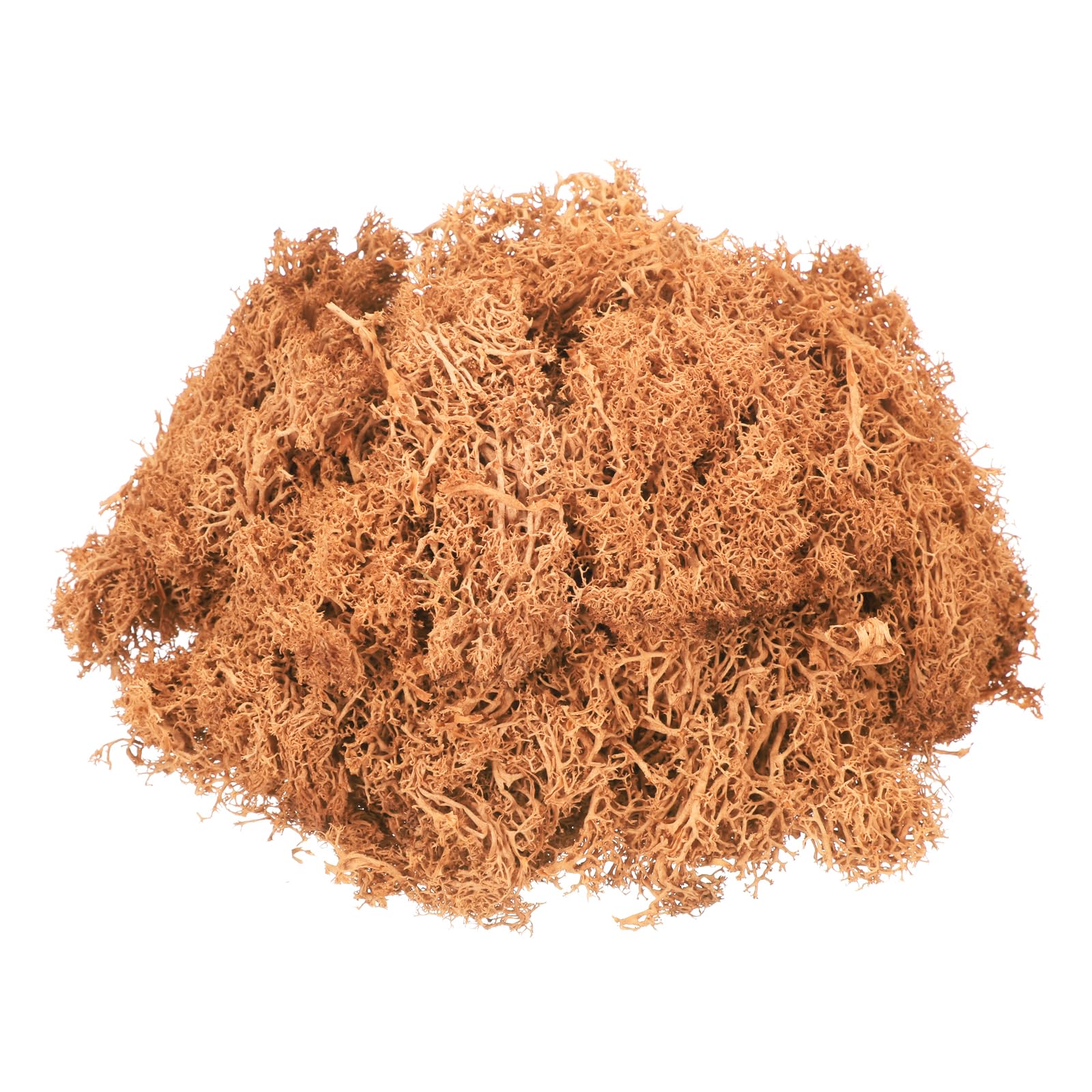 MECCANIXITY 4.6oz Preserved Reindeer Moss, Orange Decorative Artificial Fake Moss for Potted Plants Indoor Crafts Lichen Centerpieces Decor-image-31