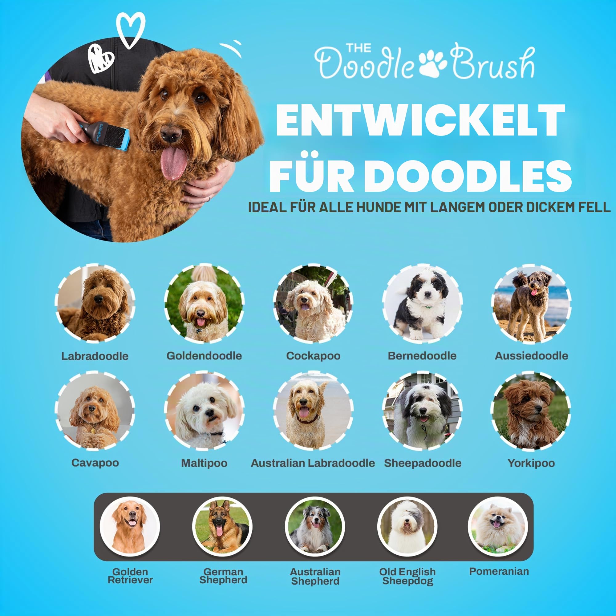 The Doodle Brush - Hundebürste für Goldendoodles & Labradoodle Einzelkopf, hundebü langhaar Pudelbürste - entfilzer hunde - zupfbürste hund, Entwirrungsbürste für Hunde Hundehaarbürste