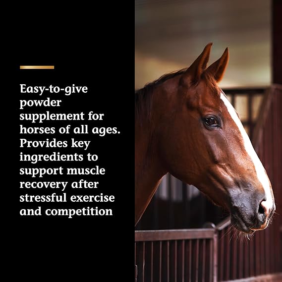 Vita Flex Pro Recovery by the Makers of Lactanase, Post Performance Horse Supplements 40 g, Show Safe Muscle Recovery Supplements, Amino Acids for Horses, Strength & Joint Health (Pack of 2)
