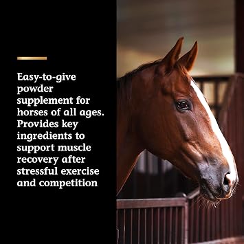 Vita Flex Pro Recovery by the Makers of Lactanase, Post Performance Horse Supplements 40 g, Show Safe Muscle Recovery Supplements, Amino Acids for Horses, Strength & Joint Health (Pack of 2)