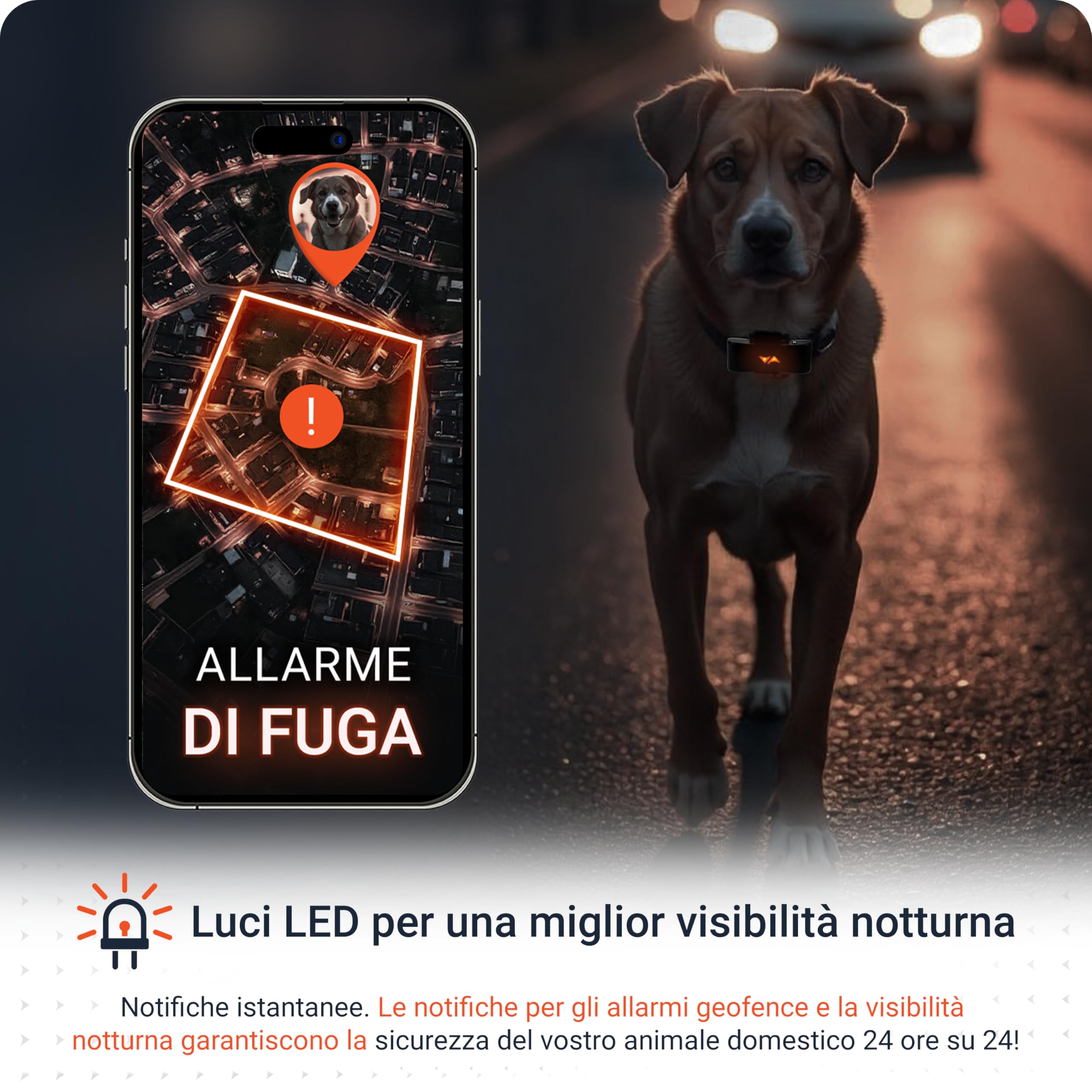 PAJ GPS – Collare LED Luminoso + GPS Tracker per Cani, 3 Mesi Abbonamento Premium Incluso + Visibilità Notturna, Mini GPS Tracker 4G per Cani, Allarme Anti-Fuga, 100% Impermeabile, Nero