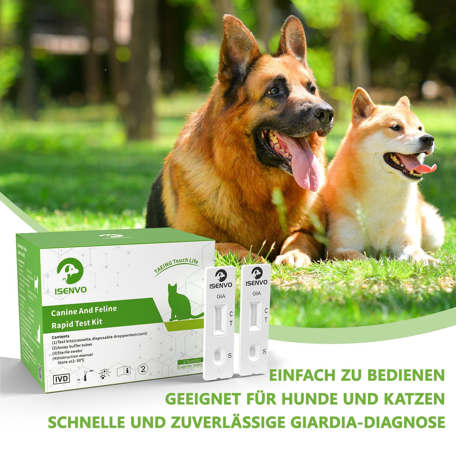 2 x Giardia szybki test dla psów i kotów – test Giardia niezawodny jako test na pasożyty jelitowe i biegunkę – dla psów i kotów w Giardia (2 x zestaw testowy)