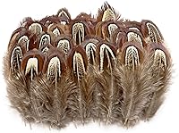 Vista 16 de 50 piezas de plumas de plumaje de faisán natural de 2-3 pulgadas, plumas de plumaje para costura, manualidades, ropa, accesorios decorativos - azul