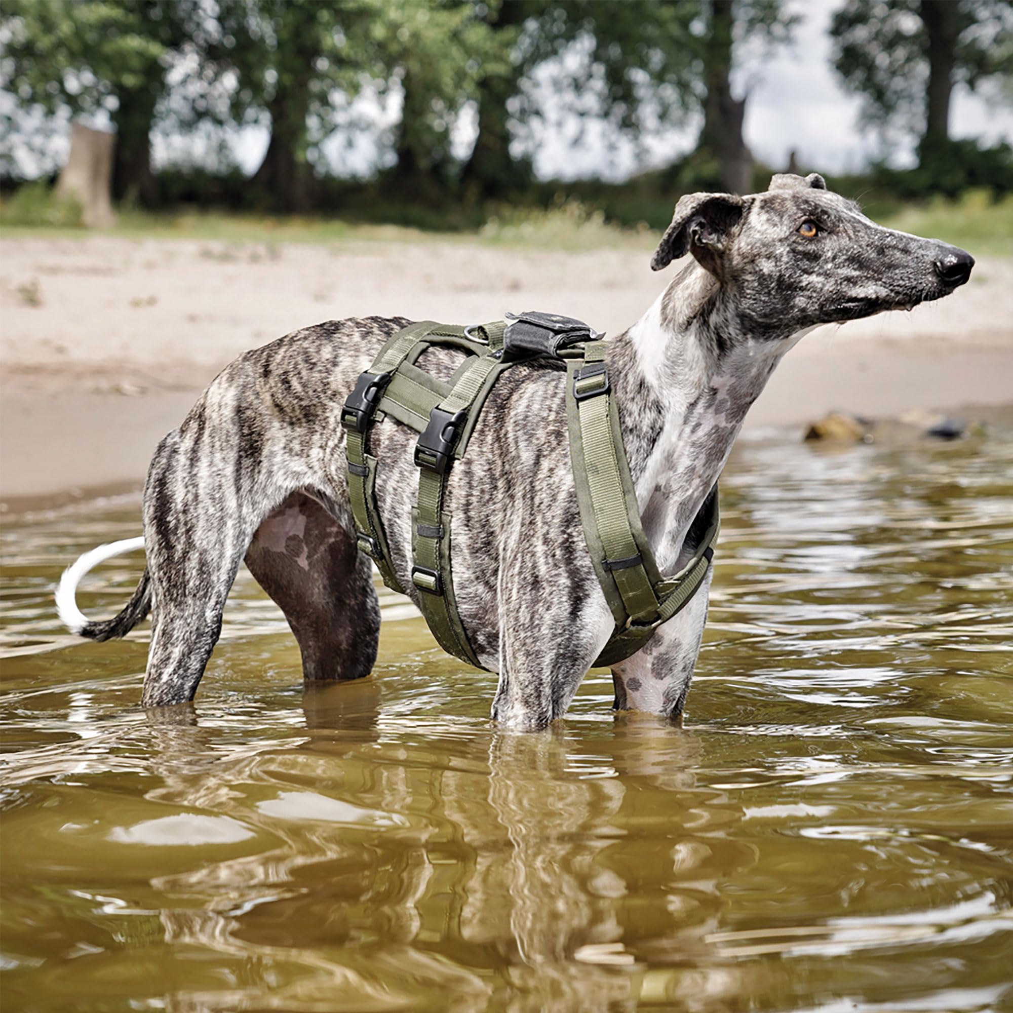 Annyx Brustgeschirr Safety Fun für Hunde - Bernstein Gr. M - Vollständig Gepolstert