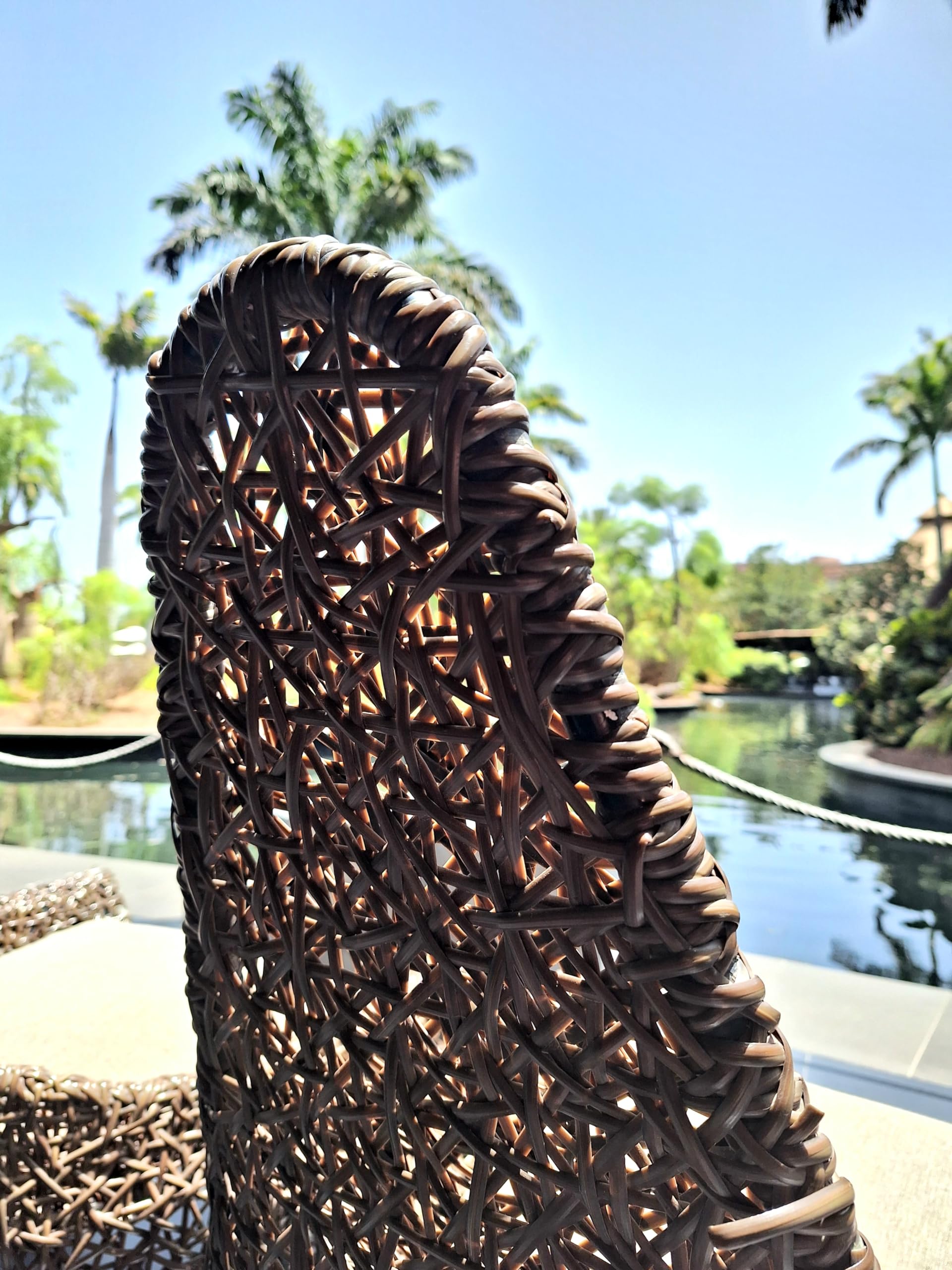 Kit Pulizia Mobili Giardino Rattan E Textilene VidaXL - 2 Detergenti 250ml + Spugna - Foto 6