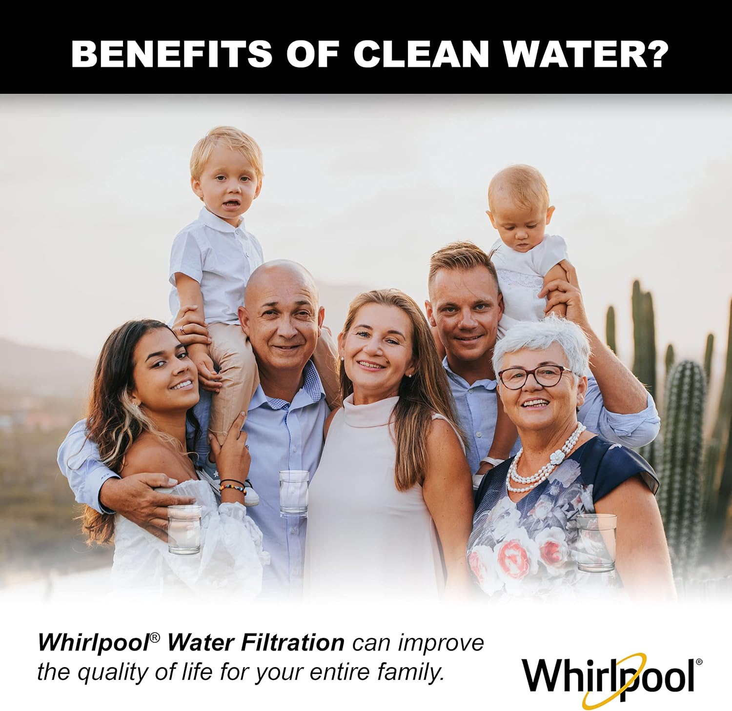 Whirlpool Undersink Premium Carbon Block Filter WHKF-DB2, 0.5 Micron Rating Reduces Mercury, Lead, Cysts, Asbestos, 6-Month Life, Use for Home Drinking Water Filtration or Reverse Osmosis System