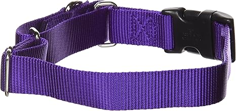 martingale collars with quick snap buckle